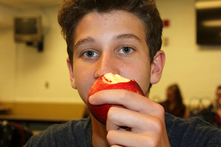 Junior Jake Allday enjoys a healthy apple during first lunch and says, An apple a day keeps the doctor away. He shows that eating a healthy lunch will make you a happier and healthier person.