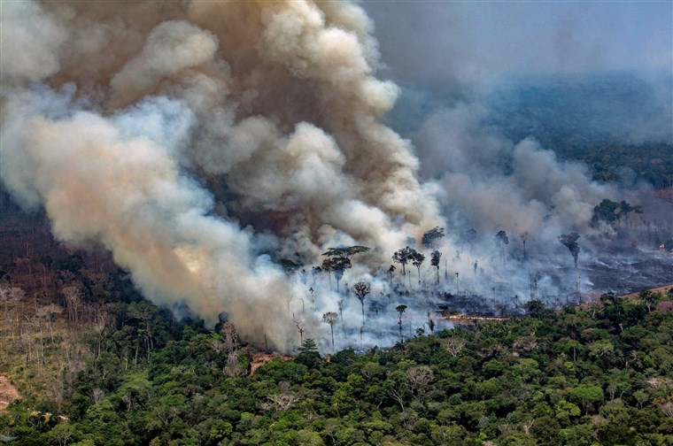 Environmental Update: The Amazon Rain Forest Fires