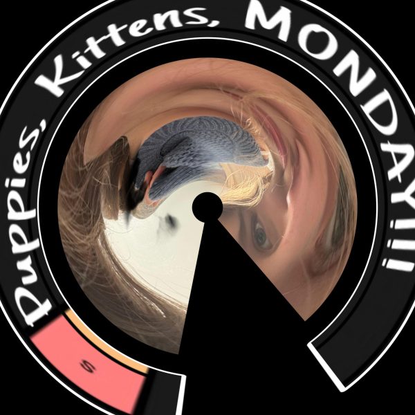 S Tier Monday!